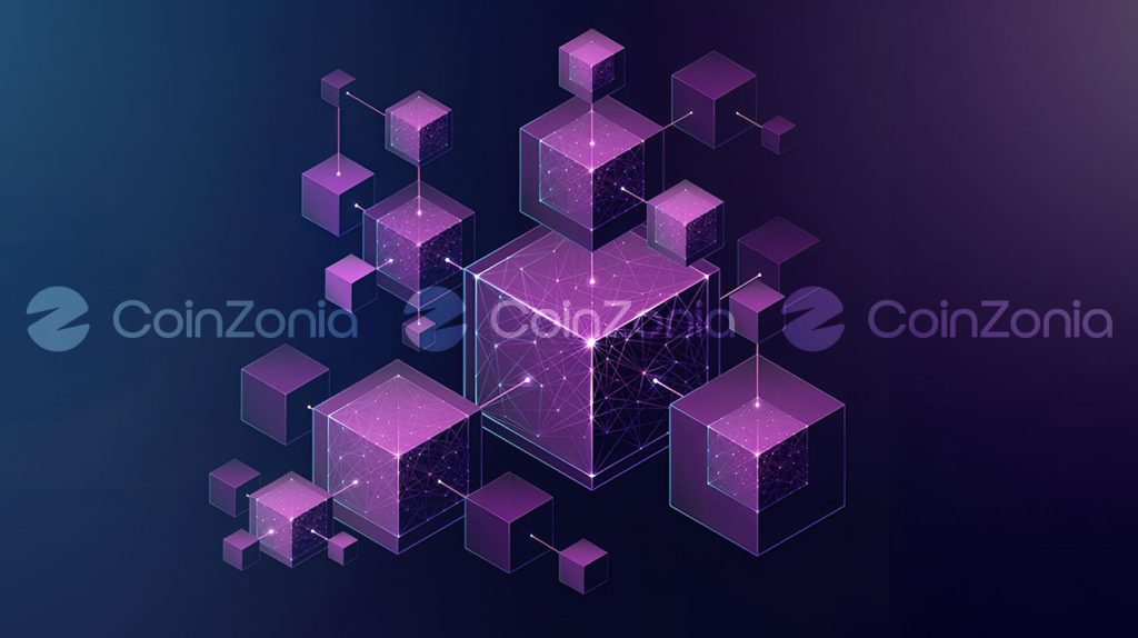 Blok zinciri dünyasında mainnet ve testnet arasındaki farklar