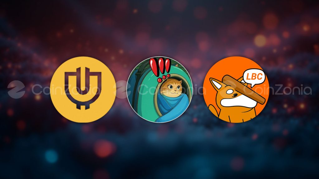 Bonk ekosisteminde dikkat çeken üç memecoin