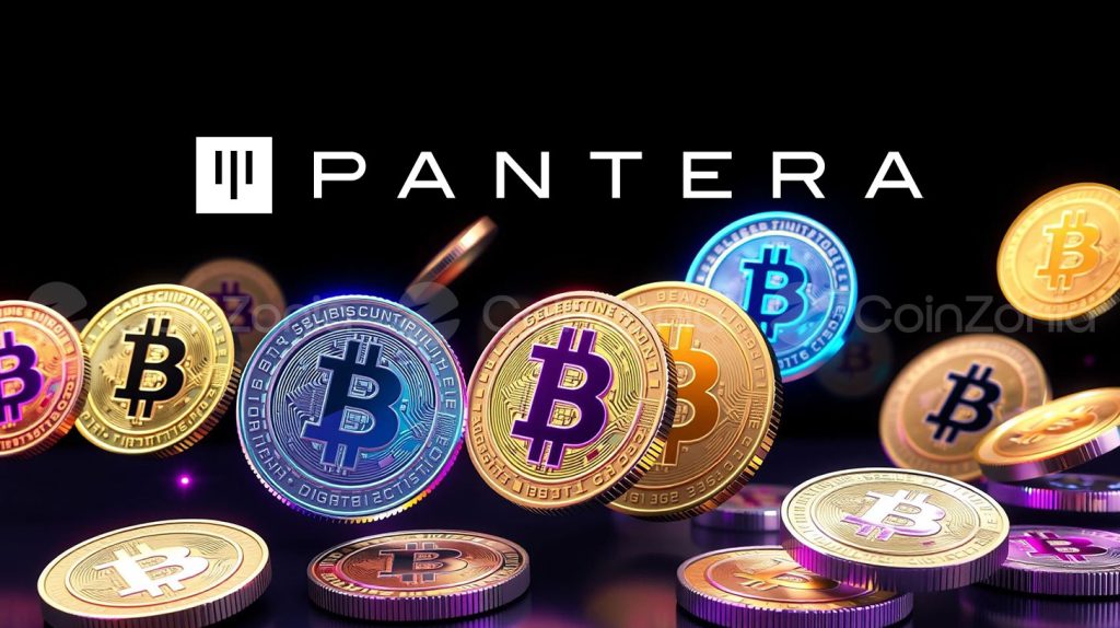 Pantera, kripto hazine şirketlerine 300 milyon dolar yatırım yaptı